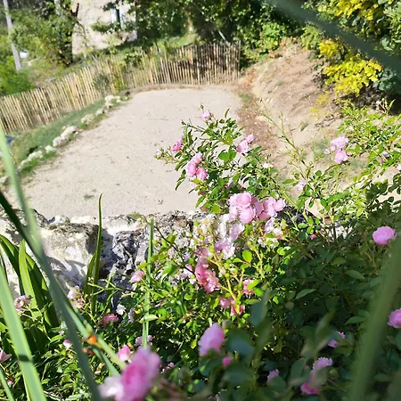 Ferienhaus Le Shala - 55m² + Jardin Tabanac